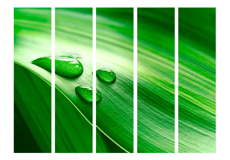 Room Separator Leaf and Three Water Droplets II (5-piece) - composition in green tone 132744 additionalImage 3