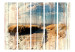Room Divider Screen Wooden Beach II - seaside landscape on old wooden planks 133944 additionalThumb 3