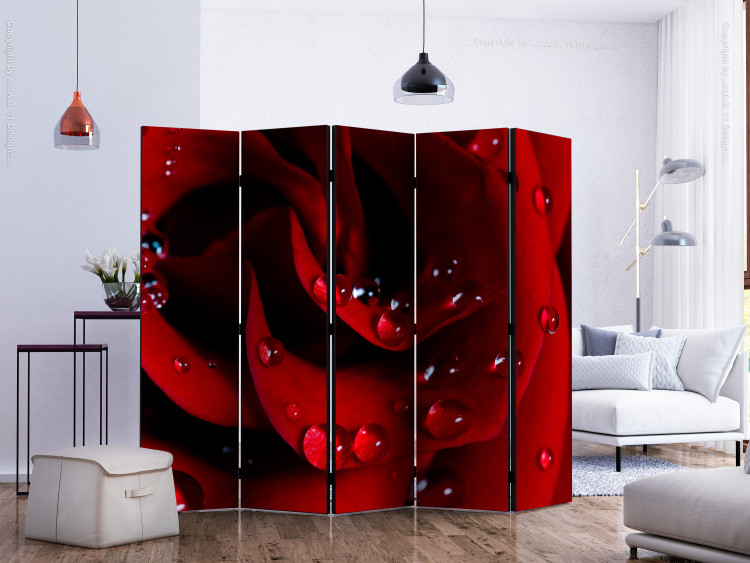 Room Divider Screen Red Rose and Dew Drops II - landscape of a red flower with drops 134044 additionalImage 2