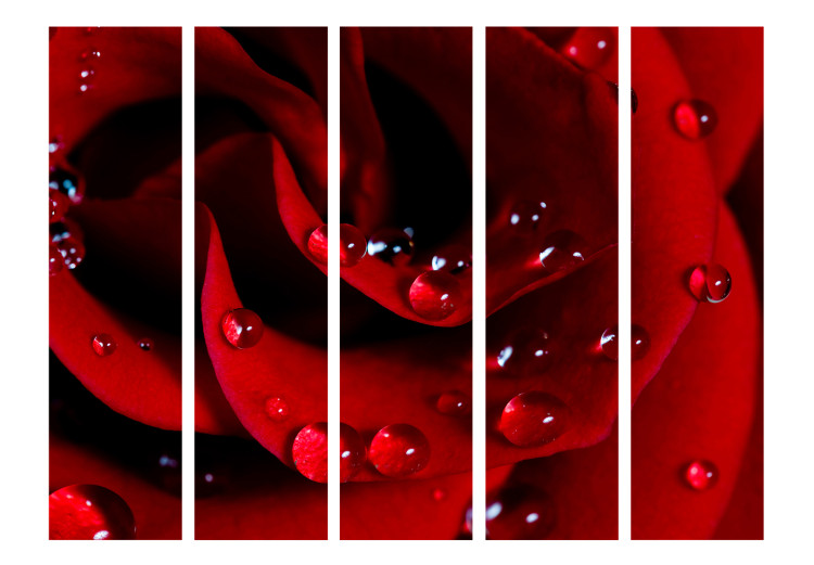 Room Divider Screen Red Rose and Dew Drops II - landscape of a red flower with drops 134044 additionalImage 3
