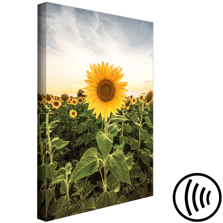 Canvas Art Print Sunflower Field (1-piece) Vertical - spring landscape of a meadow 135744 additionalImage 6