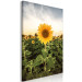 Canvas Art Print Sunflower Field (1-piece) Vertical - spring landscape of a meadow 135744 additionalThumb 2