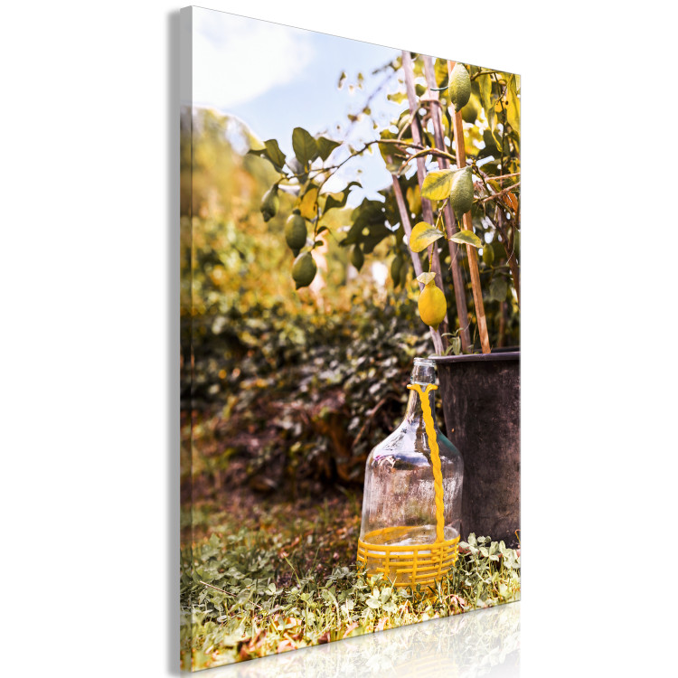 Canvas Art Print Lemon orchard - photo of an Italian garden with a lemon tree 135844 additionalImage 2