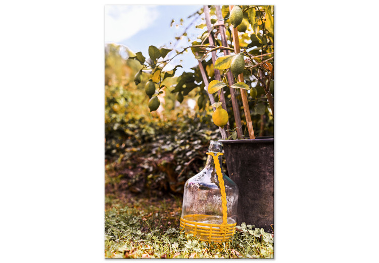 Canvas Art Print Lemon orchard - photo of an Italian garden with a lemon tree 135844