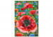 Paint by Number Kit Colorful Poppies - Blooming Flowers on a Joyful Decorative Background 144144 additionalThumb 3