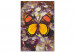 Paint by Number Kit Amber Dream - Butterfly with Yellow and Orange Wings 146544 additionalThumb 3