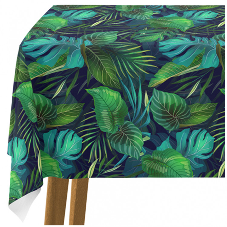 Tablecloth Variety of Philodendrons - an exotic leaves in various shades of green 147244