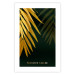 Poster Exotic Nature - Tropical Plants on a Dark Green Background 148944 additionalThumb 16