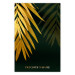 Poster Exotic Nature - Tropical Plants on a Dark Green Background 148944