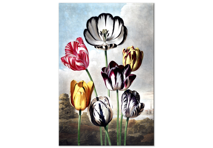 Canvas Wonders of Nature - Spring Landscape With Colorful Tulips 149744