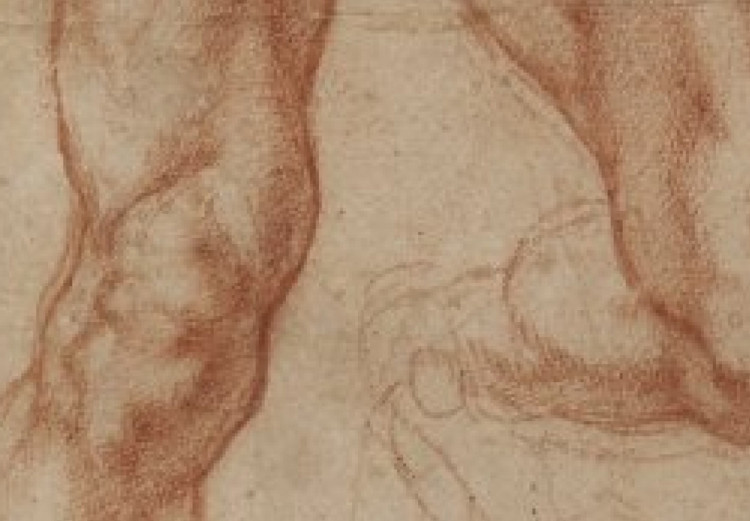 Poster Study of the Human Figure 152144 additionalImage 3