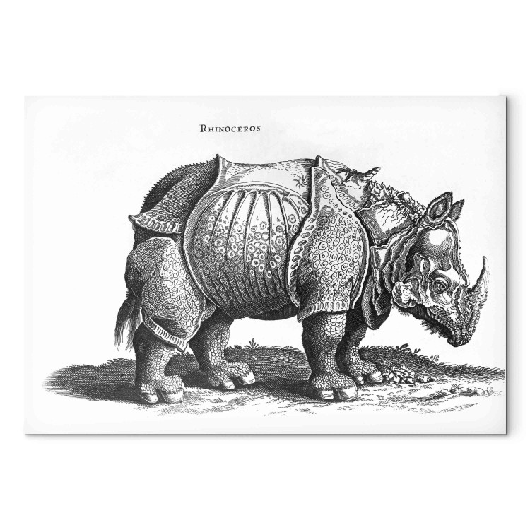 Art Reproduction Rhino 153244