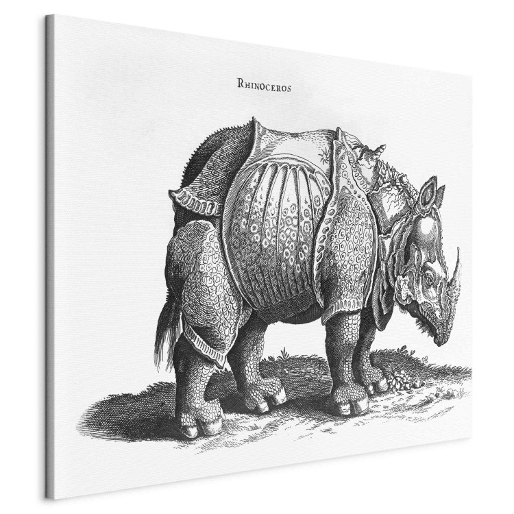 Art Reproduction Rhino 153244 additionalImage 2
