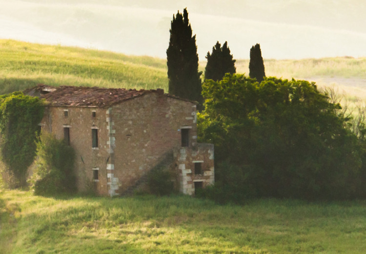 Canvas Tuscany landscapes 50444 additionalImage 5