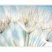Wall Mural Dandelion Seeds - Light Composition of Flowers on a Blue Sky Background 60644 additionalThumb 1