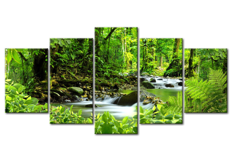Canvas Art Print In the mighty jungle... 64344