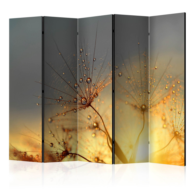 Room Divider Screen Summer Solstice II - flowers with water droplets against the backdrop of a sunset 95544