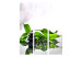 Room Separator Zen - colorful stones and wet green bamboo leaves on a white background 97344 additionalThumb 3