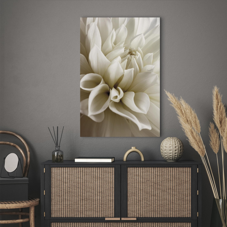 Canvas Print Beautiful Dahlia - Beautiful Flowers of Romantic Plant in White Color 97944 additionalImage 9
