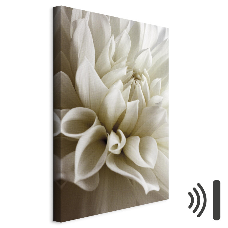 Canvas Print Beautiful Dahlia - Beautiful Flowers of Romantic Plant in White Color 97944 additionalImage 8