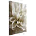 Canvas Print Beautiful Dahlia - Beautiful Flowers of Romantic Plant in White Color 97944 additionalThumb 2