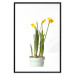 Wall Poster Daffodil - yellow spring flowers in a turquoise pot on a white background 116654 additionalThumb 19