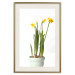 Wall Poster Daffodil - yellow spring flowers in a turquoise pot on a white background 116654 additionalThumb 23
