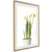 Wall Poster Daffodil - yellow spring flowers in a turquoise pot on a white background 116654 additionalThumb 2