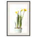 Wall Poster Daffodil - yellow spring flowers in a turquoise pot on a white background 116654 additionalThumb 22