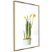 Wall Poster Daffodil - yellow spring flowers in a turquoise pot on a white background 116654 additionalThumb 8