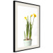 Wall Poster Daffodil - yellow spring flowers in a turquoise pot on a white background 116654 additionalThumb 3