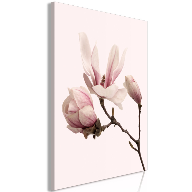 Canvas Print Symbol of Spring (1-part) - Pink Magnolia Bloom in Nature's Hue 117154 additionalImage 2