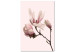 Canvas Print Symbol of Spring (1-part) - Pink Magnolia Bloom in Nature's Hue 117154