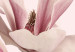 Canvas Print Symbol of Spring (1-part) - Pink Magnolia Bloom in Nature's Hue 117154 additionalThumb 5