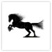 Poster Galloping Stallion - black and white composition with the silhouette of a racing horse 118754 additionalThumb 25