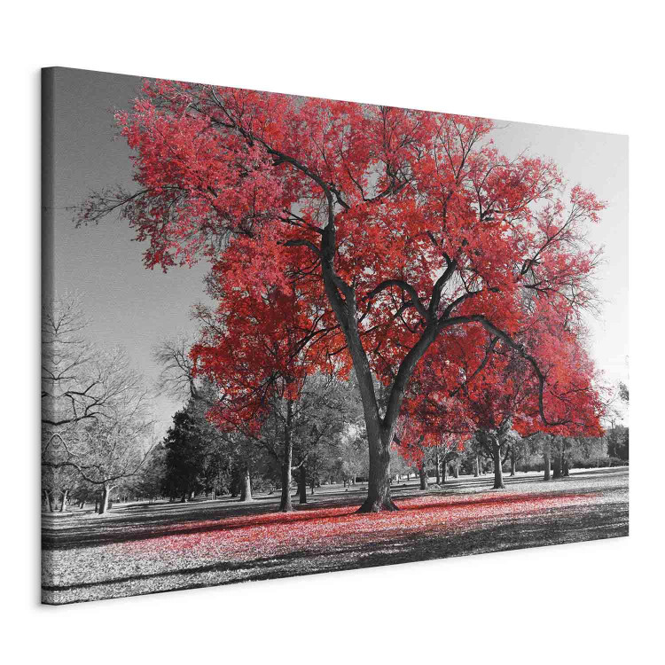 Canvas Autumn in the Park (1 Part) Wide Red 122754 additionalImage 2