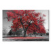 Canvas Autumn in the Park (1 Part) Wide Red 122754