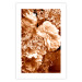 Poster Warm Scent - large and small plant flowers in autumn sepia tone 123854 additionalThumb 25