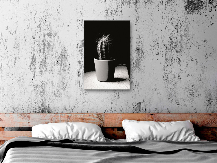 Canvas Cactus in a pot on the table - black and white photograph 125254 additionalImage 3