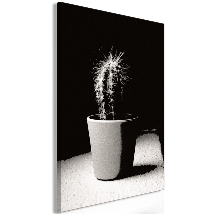 Canvas Cactus in a pot on the table - black and white photograph 125254 additionalImage 2