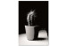 Canvas Cactus in a pot on the table - black and white photograph 125254