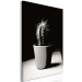 Canvas Cactus in a pot on the table - black and white photograph 125254 additionalThumb 2