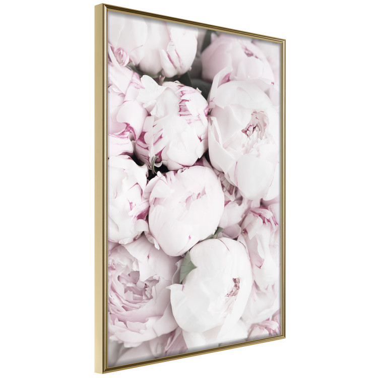 Poster Early Summer - landscape of a field with flowers in delicate pink hues 125754 additionalImage 12