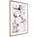 Wall gallery pictures Flowers in pastel 129310 additionalThumb 6