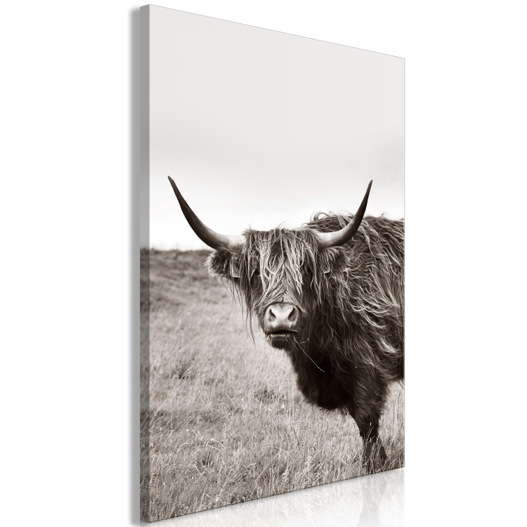 Canvas Art Print Ancient (1-piece) Vertical - gray photograph of a bull in a meadow 130254 additionalImage 2