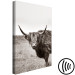 Canvas Art Print Ancient (1-piece) Vertical - gray photograph of a bull in a meadow 130254 additionalThumb 6