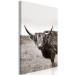Canvas Art Print Ancient (1-piece) Vertical - gray photograph of a bull in a meadow 130254 additionalThumb 2