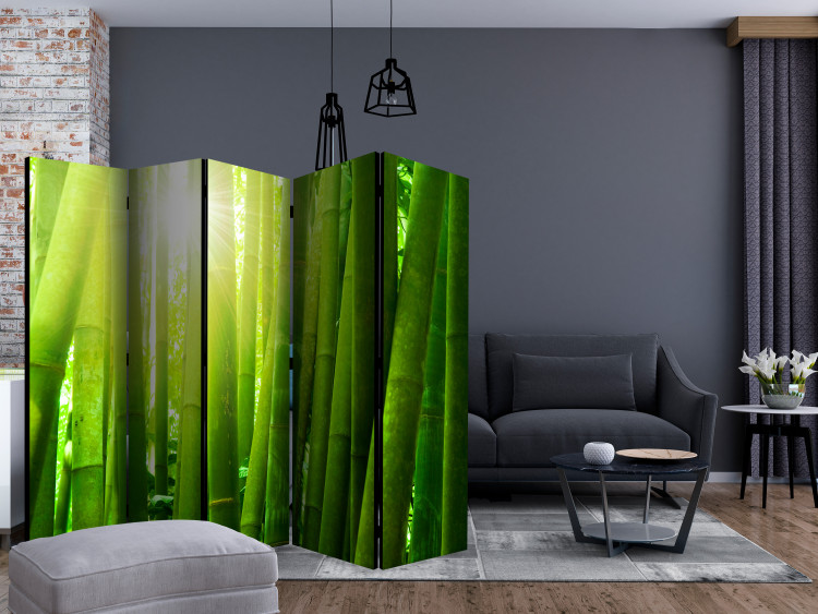 Room Divider Sunlight Amidst Greenery II (5-piece) - forest of bamboo sticks 133254 additionalImage 4