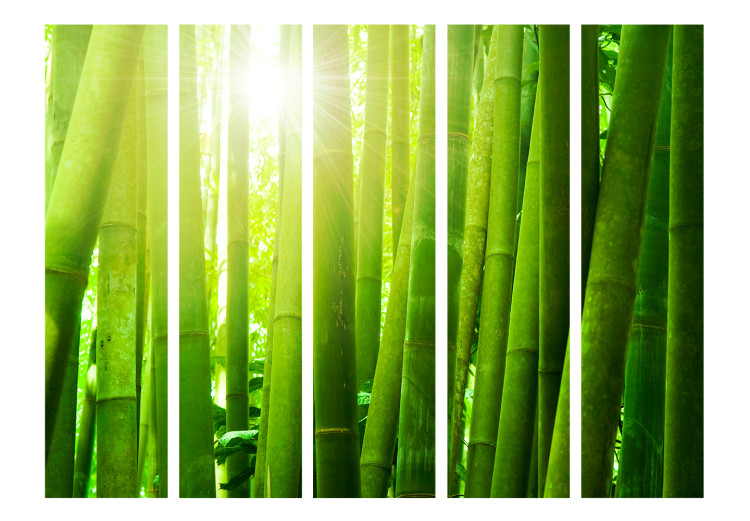 Room Divider Sunlight Amidst Greenery II (5-piece) - forest of bamboo sticks 133254 additionalImage 3