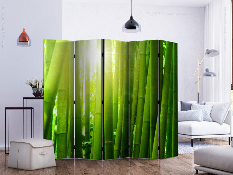 Room Divider Sunlight Amidst Greenery II (5-piece) - forest of bamboo sticks 133254 additionalImage 2